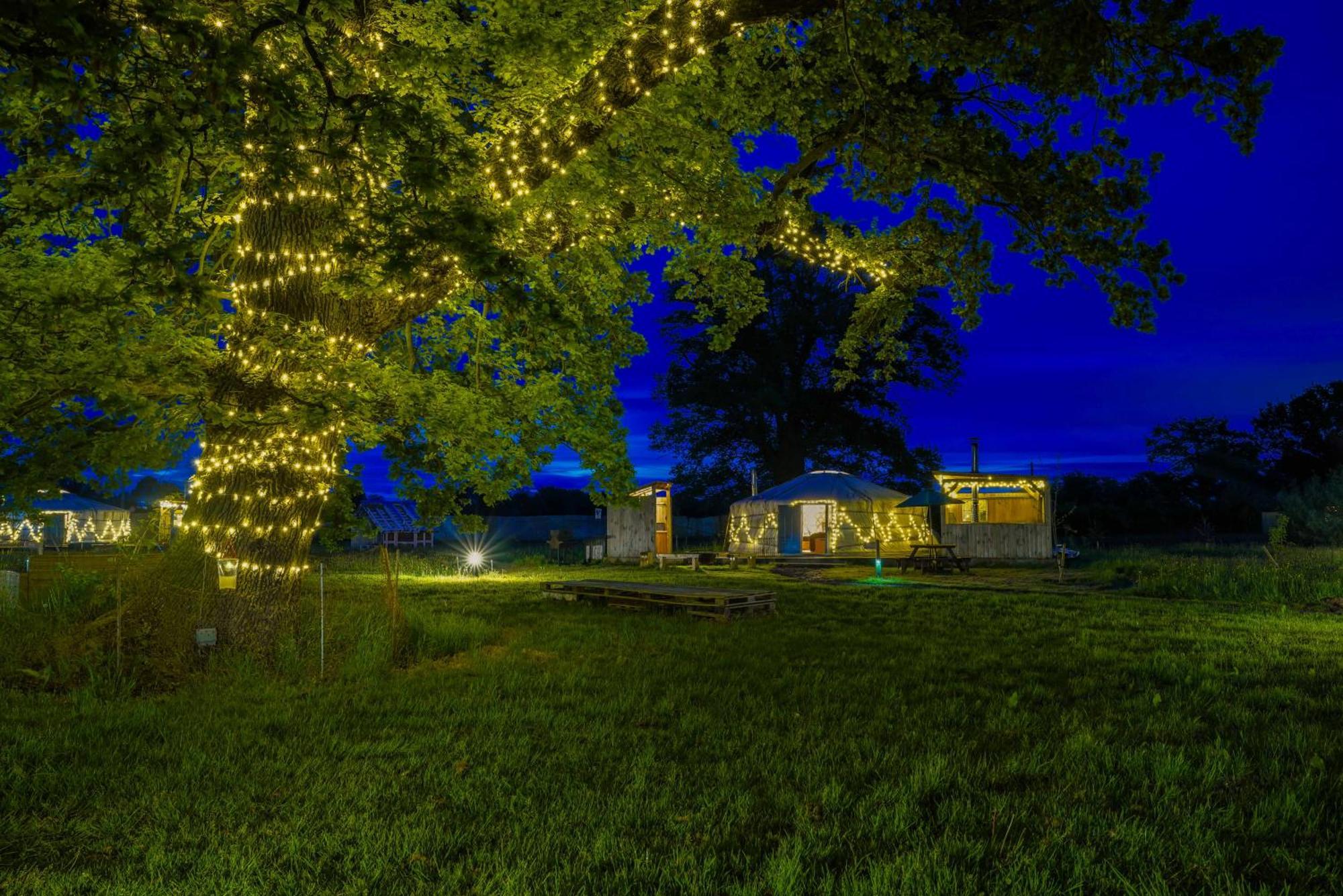 Glamp and Tipple Ltd Hotel Great Ellingham Bagian luar foto